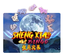ทดลองเล่นสล็อต Sheng Xiao Bingo