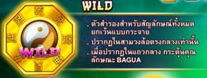 สัญลักษณ์ Wild ทดลองเล่นสล็อต Bagua