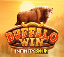 Buffalo Win