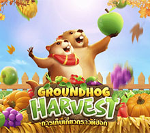 Groundhog Harvest