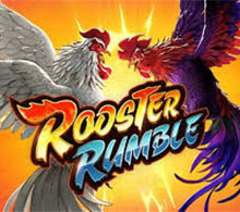 Rooster Rumble