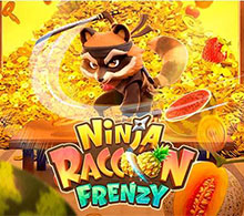 Ninja Raccoon Frenzy