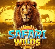 Safari Wilds