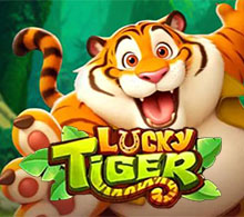 Lucky Tiger